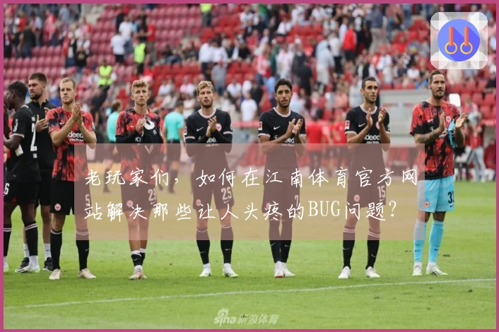 老玩家们，如何在江南体育官方网站解决那些让人头疼的BUG问题？