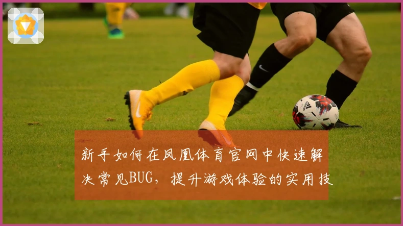 新手如何在凤凰体育官网中快速解决常见BUG，提升游戏体验的实用技巧