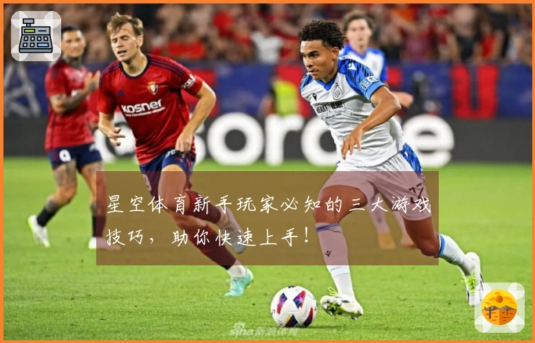 星空体育新手玩家必知的三大游戏技巧，助你快速上手！