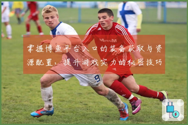 掌握博鱼平台入口的装备获取与资源配置，提升游戏实力的秘密技巧