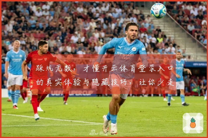 踩坑无数，才懂开云体育登录入口的真实体验与隐藏技巧，让你少走弯路！